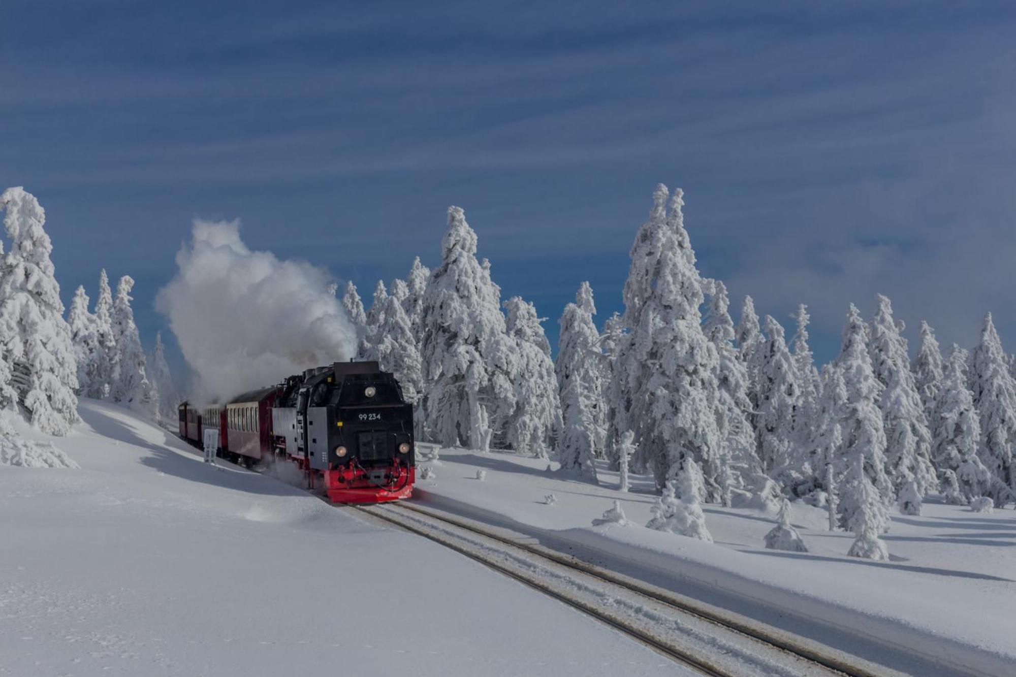 Fewo Harzgipfel Mit Dampfdusche #Innestadtnaehe#Netflix Von Harztraveler บัดฮาร์ซบวร์ก ภายนอก รูปภาพ